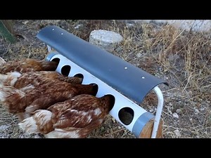 How to Make a Chicken Feeder from PVC Pipe