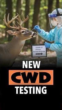 New CWD Test Will Let Hunters Know in 20 Minutes!