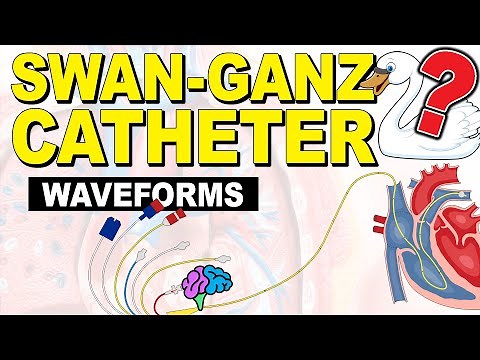 Pulmonary Artery (PA) Catheter Waveforms EXPLAINED!