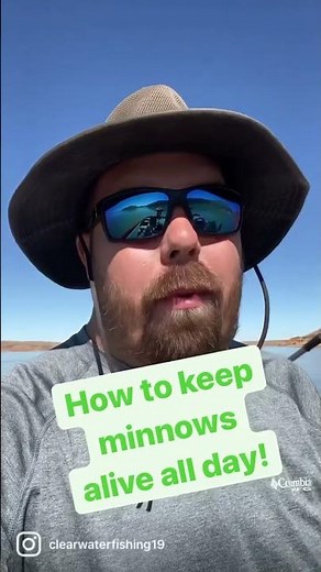 How to keep minnows alive all day!