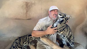1.2M views · 111K reactions | Feeding these endangered clouded leopards from Tiger King for the first time! | Jayprehistoricpets | Facebook
