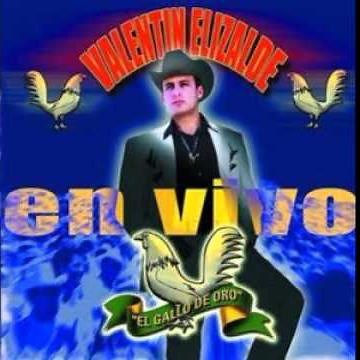 Porque Te Vas De Mi - Valentin Elizalde