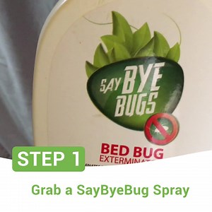 785K views · 802 reactions | Bed Bug infestations are really tough to deal with. Now, you don't have to go through the hassle of hiring a pest control service. Try SayByeBugs! SayByeBugs eradicates Bed Bugs on contact, and it's very easy to use! You can spray it directly on fabrics without worrying about stains! Time to be bed bug free! Click now to shop! | Say Bye Bugs | Facebook