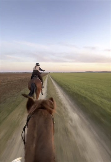 Understanding Your Riding Style: Front-Runner or Back