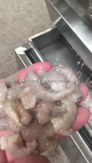 shrimp peeling machine