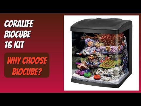 REVIEW (2025): Coralife BioCube 16 Kit. Features