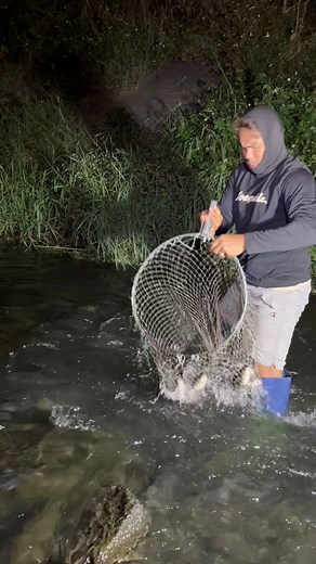 1.5K views | Thousands of fish in the fresh water | Master FRENZ the hunter | Facebook