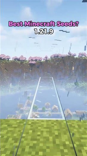 Best Minecraft Seeds in 1.21.8! #shorts