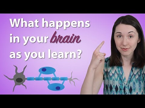 How Does Your Brain Learn? | #AlwaysCurious