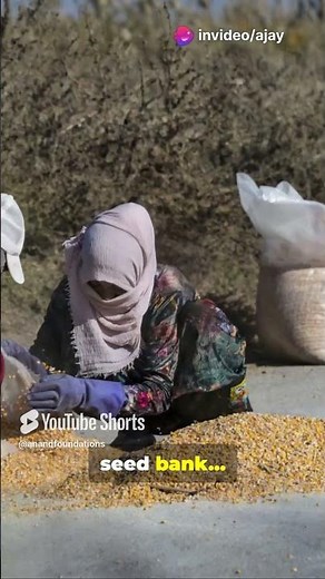Inside the Doomsday Vault Designed to Save Humanity