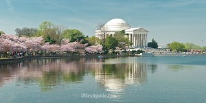 Washington, DC City Guide | Where to Stay, Eat and Play