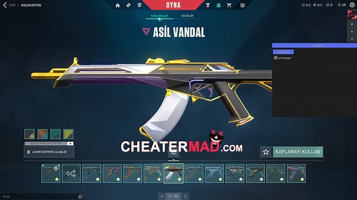 Free Valorant Skin Changer 2025 | Get All Skins & Knives - CHEATERMAD.COM