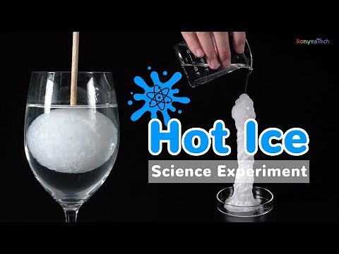 Hot Ice Experiment - Supersaturated Solution