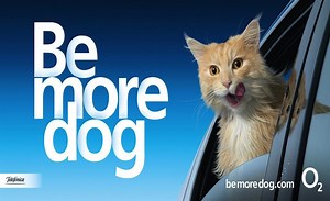 O2 set to end long-running ‘Be More Dog’ campaign