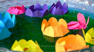 2.1K views · 39 reactions | Today, we are creating a water lily...