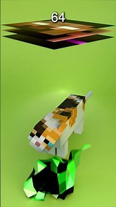 1M Epic Minecraft Cat Cloth Sim | WHICH ONE IS BETTER?