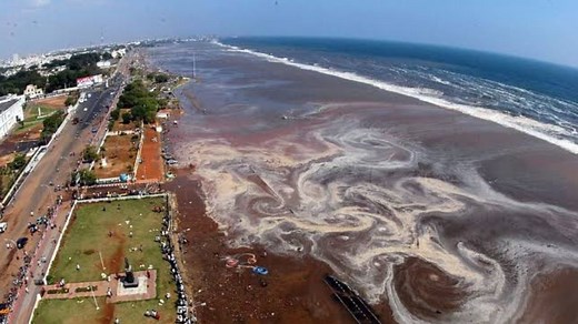 2004 Tsunami: 18 years of devastating event, people pay tearful homage to victims