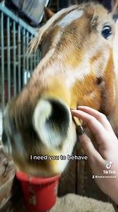 100K views · 3.2K reactions | What is a string test?樂 | Katie Van Slyke | Facebook