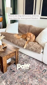 Fall in love with the NEW ultra-plush Luxe PupProtector™ Throw Blanket. Protect your furniture in style. Waterproof, machine washable, and SO soft and cozy ☁️ 🐾 💜 On Sale Today With Code: SOCIAL 💜 ⭐️⭐️⭐️⭐️⭐️ "We are so pleased with our waterproof blanket. Our dogs love it and so do we. It washes well. The quality is excellent. There isn’t any shedding of hair/fur from the blanket at all. The style looks great on our furniture. This is an excellent product. Highly recommend!" - Heather | Paw.c