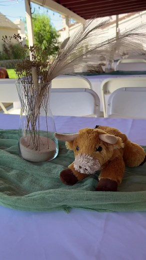 Western Cowboy Baby Shower Centerpieces