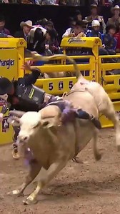 Injury Update: Ky Hamilton