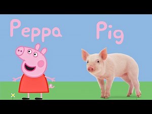 Peppa Pig Characters | Peppa Pig Characters in Real life | Learn Animals With Peppa And George |