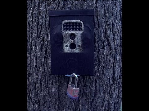 DIY Trail Camera Lock Box