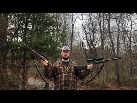 22LR VS. 22 Hornet