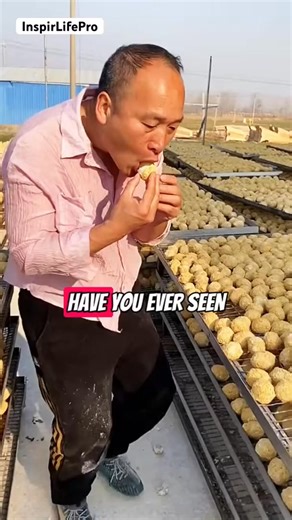 How Salted Eggs Are Made – Traditional Fermentation Process 🥚 🍳 #egg #diy #shorts #fblifestyles | Lorenzo Mathews