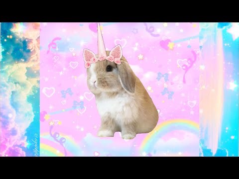 private server in piggy (heist, distraction gameplay)