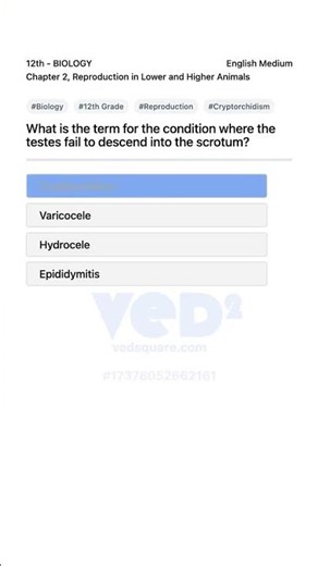 12th Biology Reproduction Cryptorchidism Explained