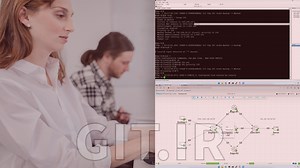 Cisco Enterprise Networks: Network Services