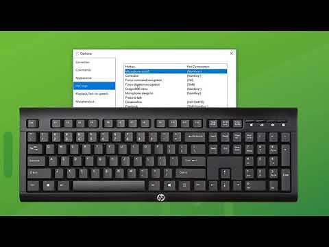 Options & Settings - Dragon Professional Individual