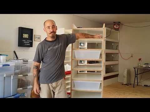 Building An Adult Ball Python Rack!!!
