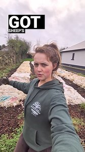 941K views · 32K reactions | “Sheep’s wool is incredible material! Why is it not being used?” ☘️ ☘️ #irishfarm #ireland #sheep #wool. Blooms&Greens by Chloe more ☘️ #irishdaily #reelsoftheday #sheepswool #clothingindustry #plastic #microplastics #clothes #cotton #farmers | Irish Daily | Facebook