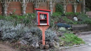 33K views · 674 reactions | 14,436 people started a Little Free Library book-sharing box last year alone. It's easier than you think, no matter your skill level or budget. Learn how to start your own Little Library today: LittleFreeLibrary.org/start | Little Free Library | Facebook