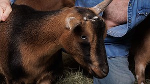 The best April Fools' Day jokes of 2022