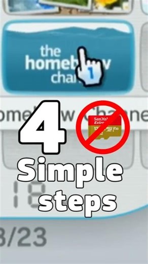 Mod your Wii in 4 EASY Steps!