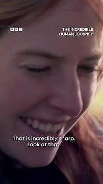 Neanderthals vs Homo Sapiens: tool edition! 🥊 #Neanderthals #HomoSapiens #AliceRoberts