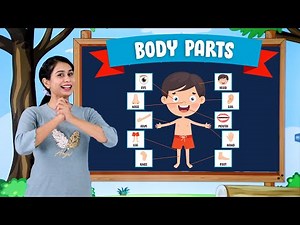 Main Parts of our Body | Learn Body Parts | English Educational Video | Preschool Learning