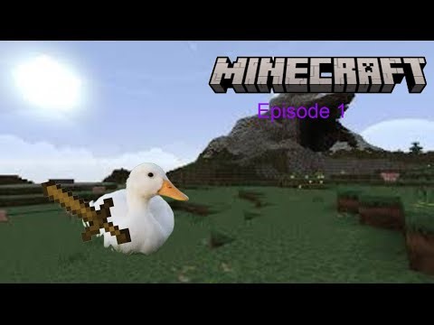 Minecraft beginning a new empire