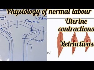 physiology ofnormal labour||uterine contractions and retraction#labour #obstetrics‪@MEDICALwithN.O‬