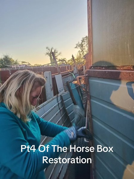 The Pony Express-O on TikTok