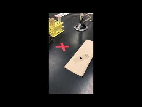 Slide making, Simple Stain and Gram Stain