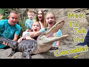 Bringing Home Our New Pet Reptile!!!