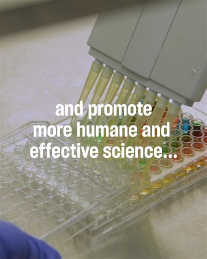 📣 It’s time to take suffering out of science. Every year, animals are subjected to painful experiments—yet most of these tests fail to predict how humans will respond to these products. Outdated tests are cruel and ineffective. We’re leading the way to promote humane research alternatives and eliminate animal testing with methods that are not only kinder but safer, faster and more reliable. Add your voice today. ✍️ Sign our petition to support leaders who are ready to move away from animal test