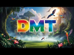 What happens during a DMT trip and how to prepare for it