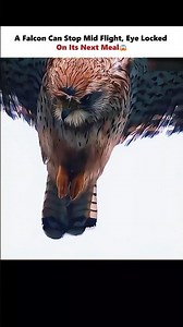 Ultimate Focus💯 #physics #scienceexplained