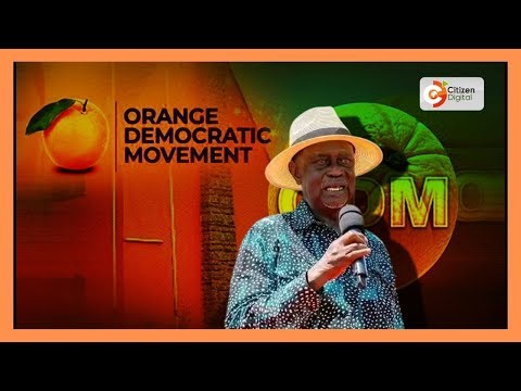 ODM declares support for Ruto ahead of 2027 polls