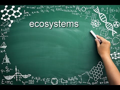 GED Science - Ecosystems